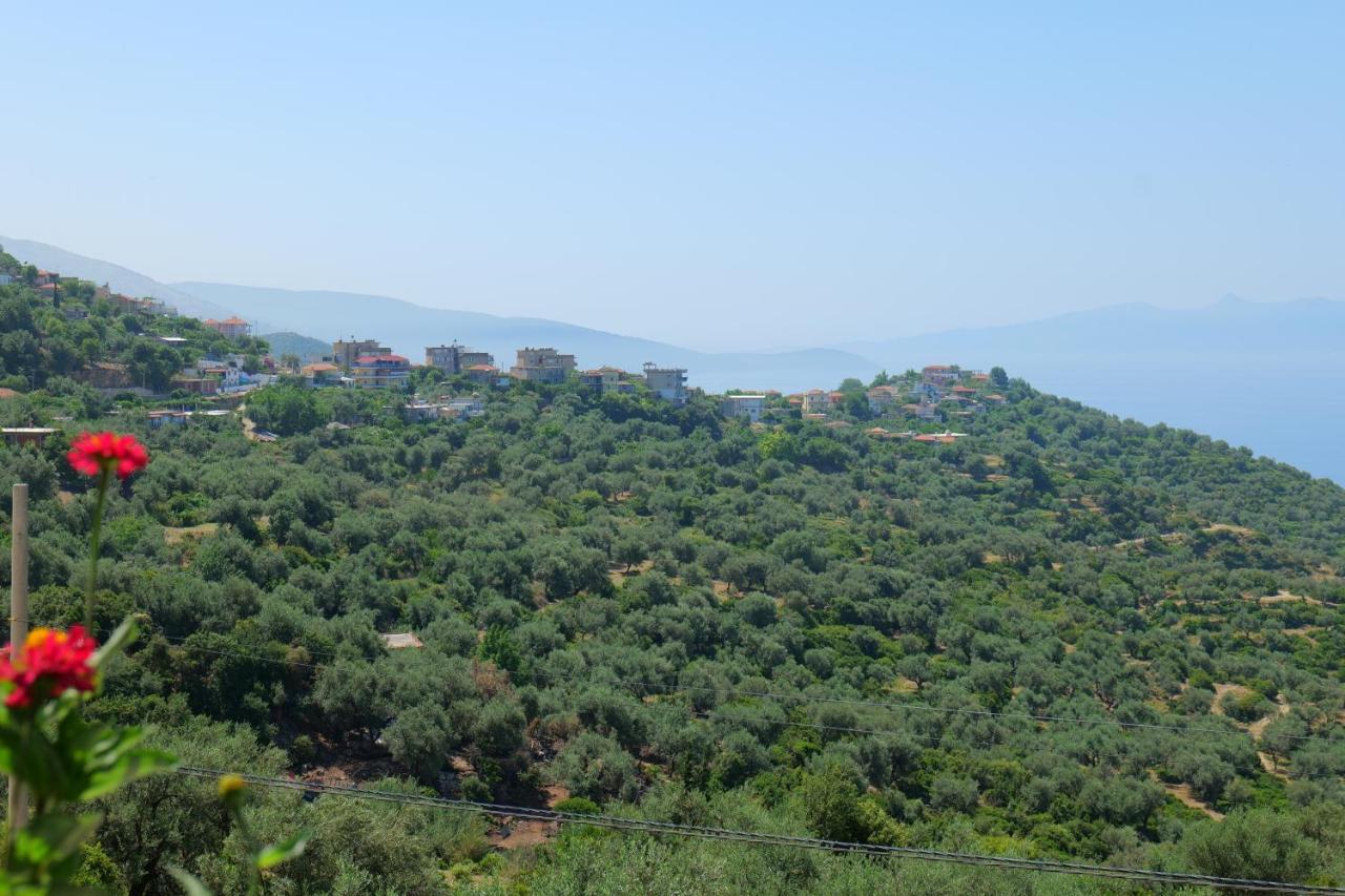 Vila Panorama Piqeras Bed & Breakfast Bagian luar foto