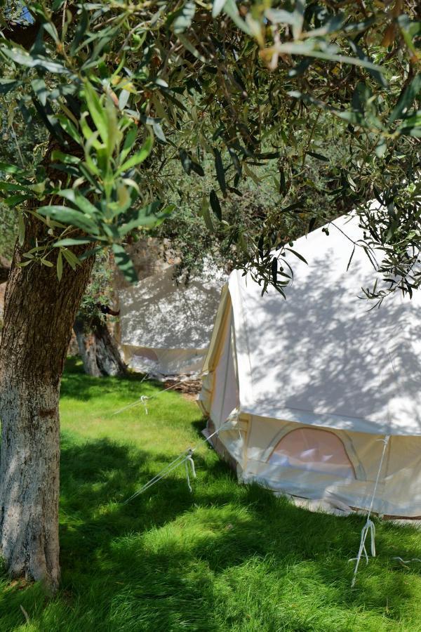 Vila Panorama Piqeras Bed & Breakfast Bagian luar foto