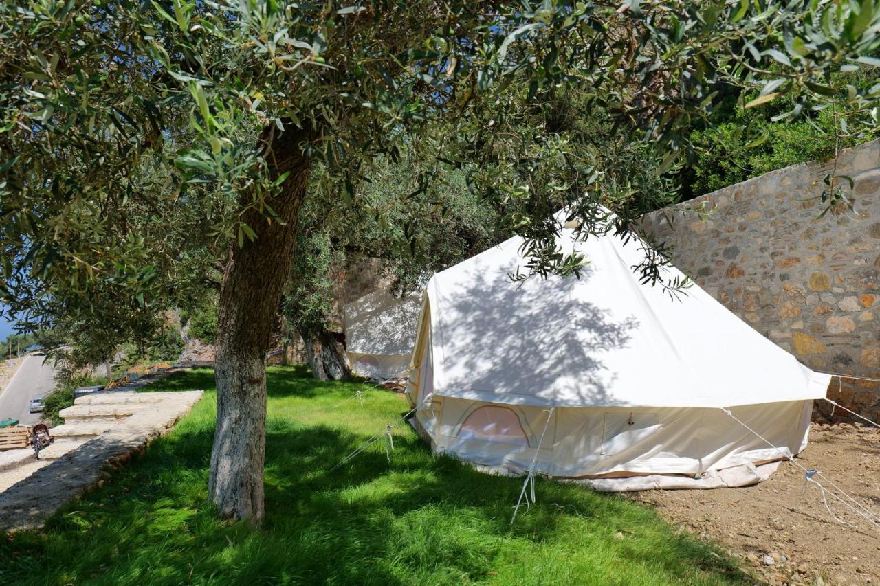 Vila Panorama Piqeras Bed & Breakfast Bagian luar foto
