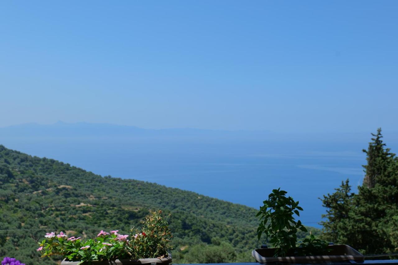 Vila Panorama Piqeras Bed & Breakfast Bagian luar foto
